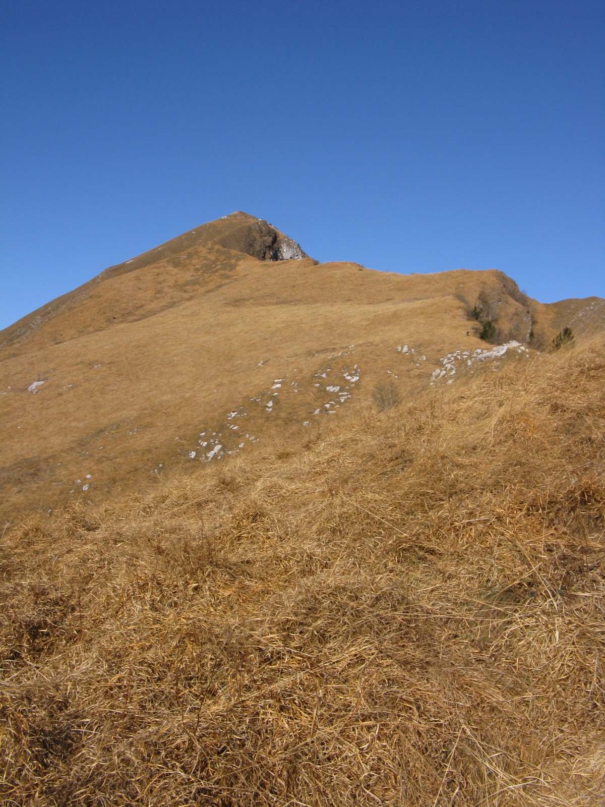 Monte Terne: bel Panorama sul gruppo della Schiara